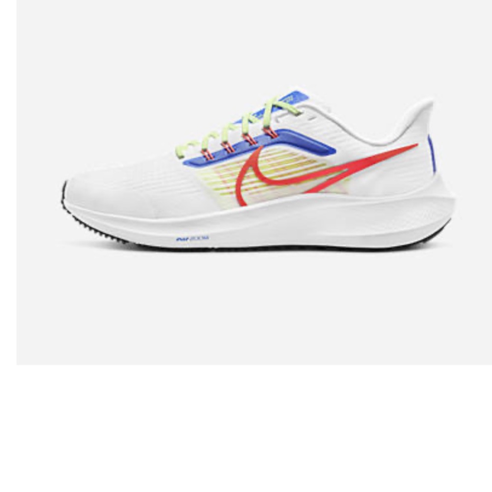 Nike Pegasus 39